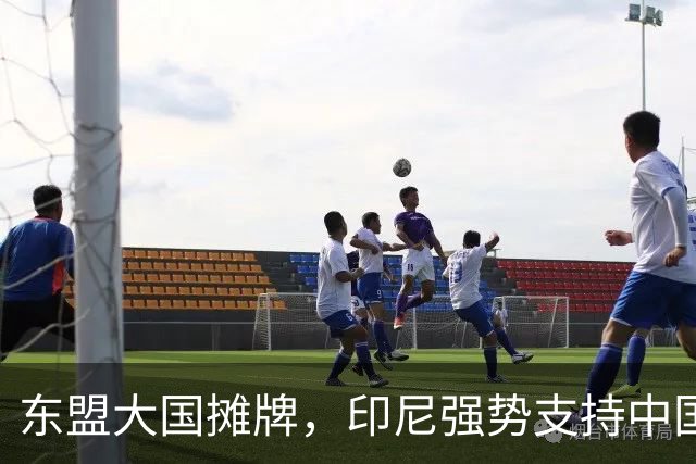 东盟大国摊牌，印尼强势支持中国，台海问题新局面浮现
