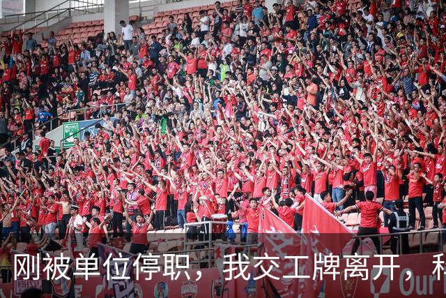刚被单位停职，我交工牌离开，科里却突发急诊