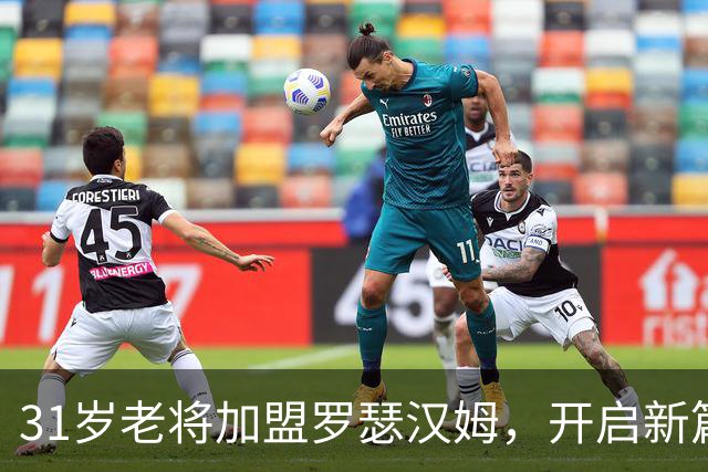 31岁老将加盟罗瑟汉姆，开启新篇章